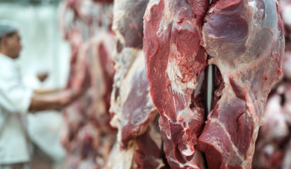 Retirada da vacina antiaftosa no rebanho habilita MS a exportar carne ao México