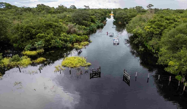 VÍDEO: Após anos de estiagem, águas cobrem estradas e criam cenas de 'tirar o fôlego' no Pantanal