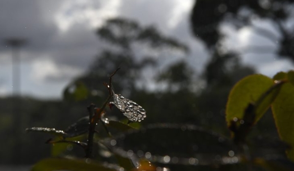 Quinta-feira terá pancadas de chuvas isoladas em Mato Grosso do Sul