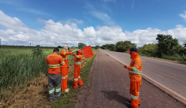 Em parceria com a PMA, ação usa até bonecos para salvar animais na principal rodovia do Pantanal