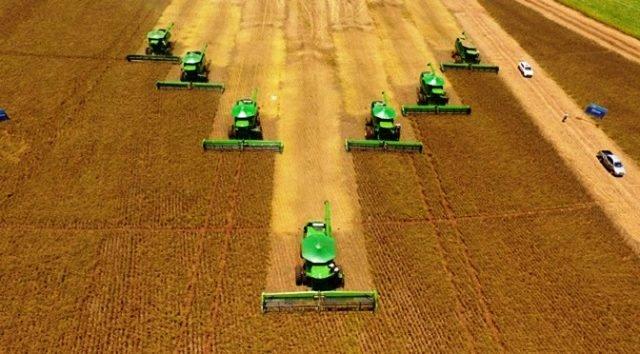 Brasil retoma posto de maior produtor de soja