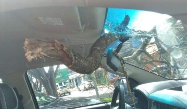 Galho cai, atravessa para-brisa de caminhonete e duas pessoas ficam feridas