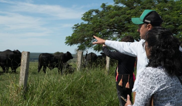 MS recebe missão técnica do México para auditoria nos sistemas de produção