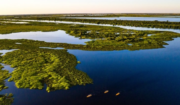 Ações integradas do Governo do Estado garantem redução de incêndios no Pantanal
