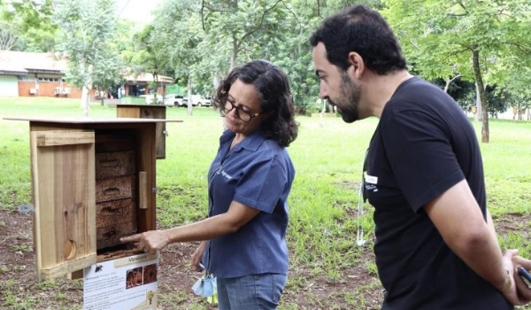 Primeiro curso de criação de abelhas sem ferrão vai ocorrer no Parque das Nações