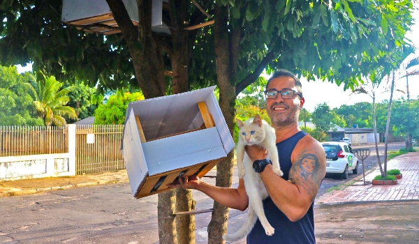 Para proteger 8 gatos da rua, Jacques projetou casas em árvores