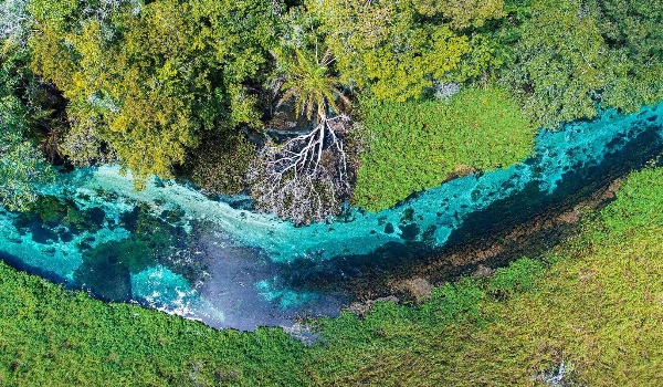 Passeios imperdíveis em Bonito, Jardim e Bodoquena
