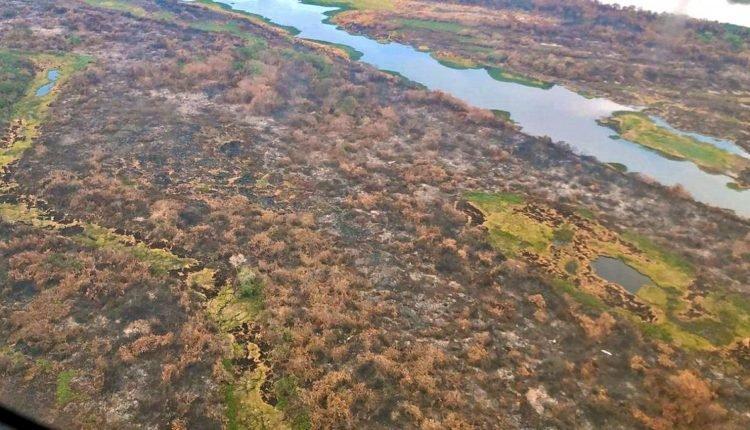 Decreto proibindo queimadas dá ‘alívio’ ao Pantanal