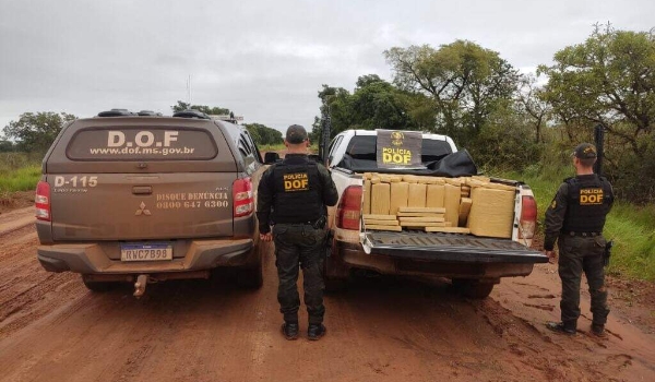 Carga de maconha avaliada em R$ 2,3 milhões é apreendida