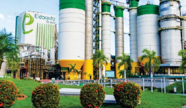 Diretor da Eldorado Brasil Celulose apresenta resultados obtidos pela adoção de práticas de ESG