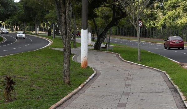 Corrida Solidária e Cãominhada são atrações do Parque dos Poderes neste fim de semana