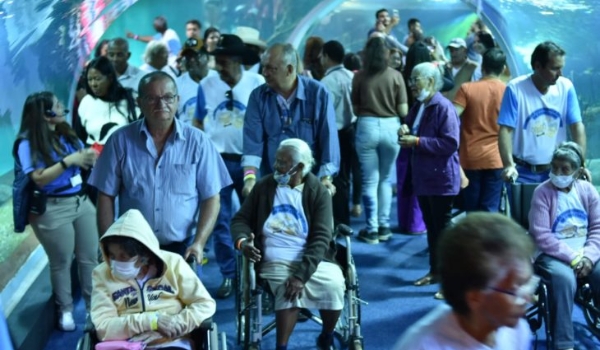 Três lugares para conhecer no Dia Mundial da Conscientização sobre Acessibilidade