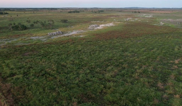 Reincidente, fazendeiro é multado em R$ 1,3 milhão por degradar Rio da Prata