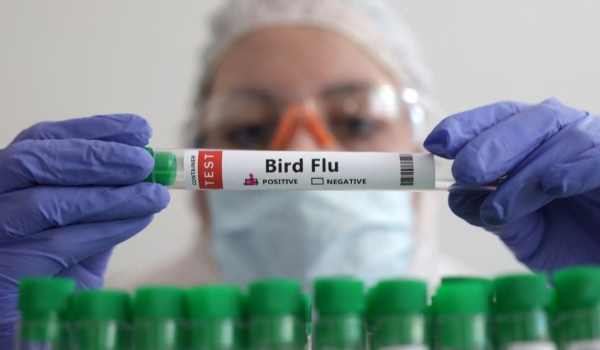 Governo decreta estado de emergência zoossanitária em todo o país