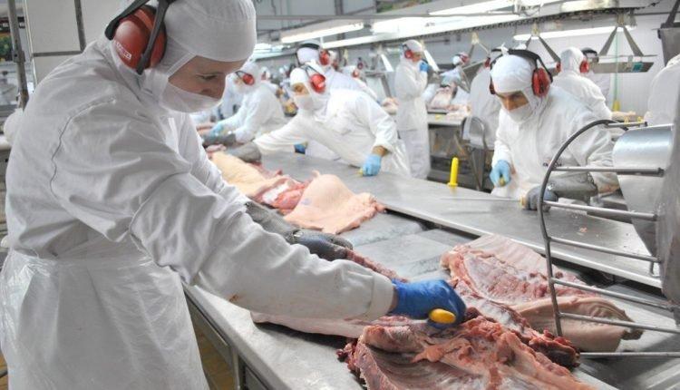 Frigorífico oferece 150 vagas para auxiliar de produção