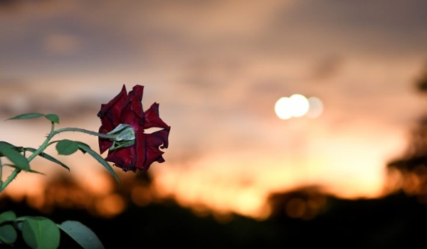 Previsão de dia seco e céu limpo nesta quinta-feira; mudanças no tempo são esperadas a partir de sábado
