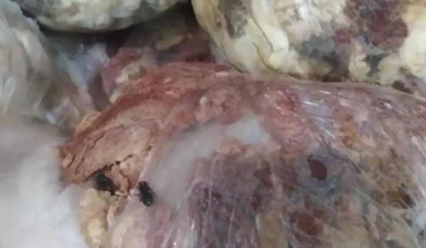 Polícia encontra moscas e baratas em carnes de açougue e donos são presos