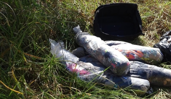 O que se sabe sobre o caso de marido morto com veneno de rato e esquartejado por idosa em MS