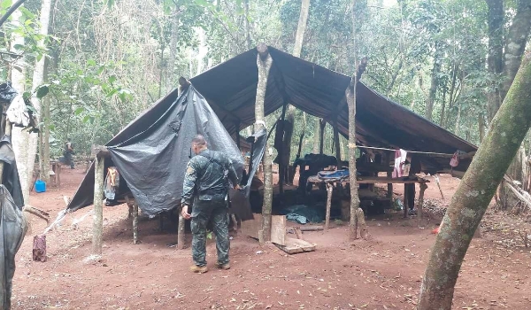 Polícia paraguaia desmonta produção de maconha na fronteira com Bela Vista
