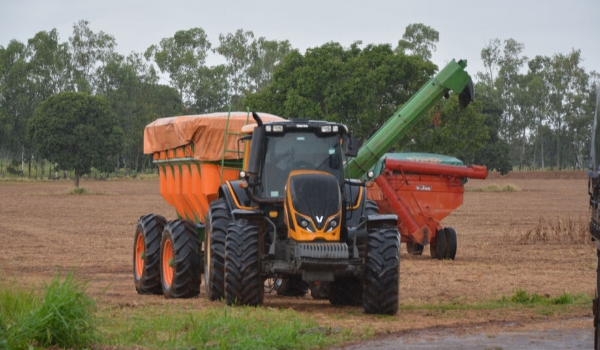 Agropecuária em crescimento puxa alta do PIB estadual e do País