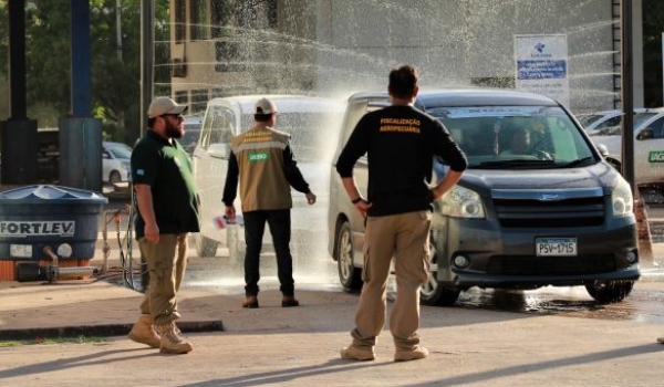 Governo decreta estado de alerta zoosanitário e cria sistema de monitoramento de prevenção à gripe aviária