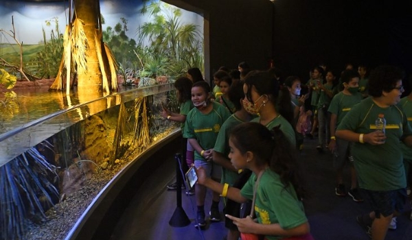 No Dia Mundial do Meio Ambiente, Bioparque destaca ações de educação ambiental e conservação de espécies