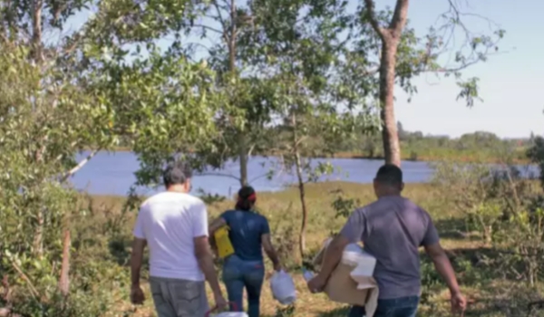 Dossiê alerta para agrotóxico em município de MS onde soja rendeu R$ 2 bilhões