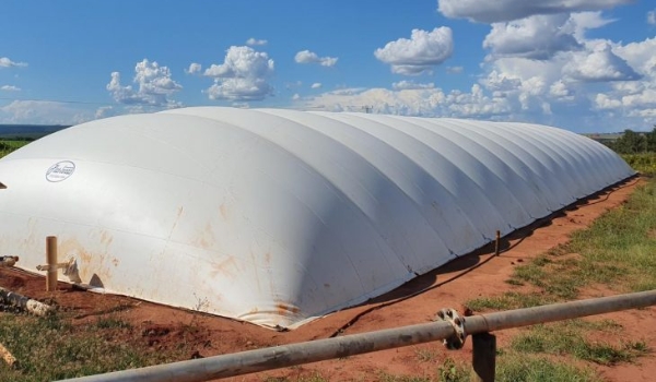 Com “know how” no mercado, MSGÁS planeja expandir fronteira de energia renovável com biometano