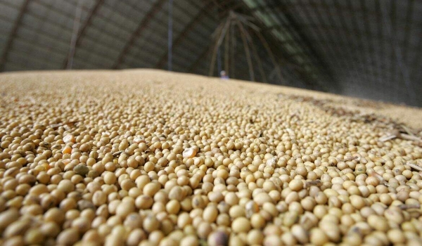 Rebocada por soja, celulose, açúcar e minério, exportação de MS cresce quase 25%