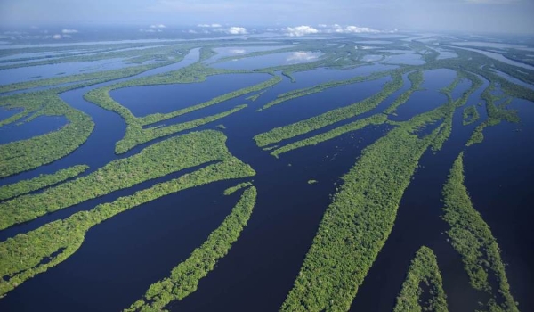 Fundo global fará reunião inédita em Brasília para destinar US$ 1,4 bilhão ao meio ambiente