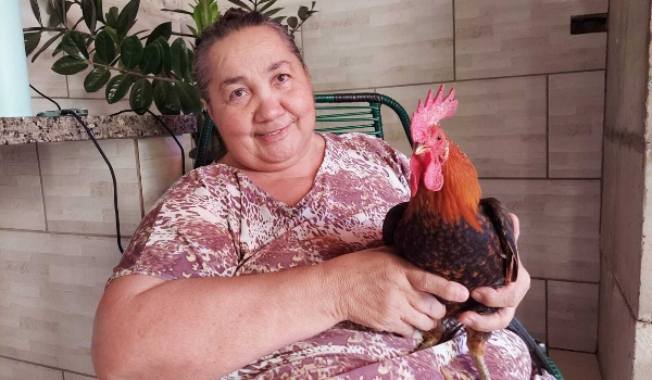 Nada de cachorro ou gato, Elza é apaixonada por galo de estimação