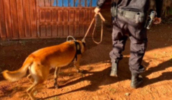 Homem compra sapatos com notas falsas e vira alvo da Polícia Federal