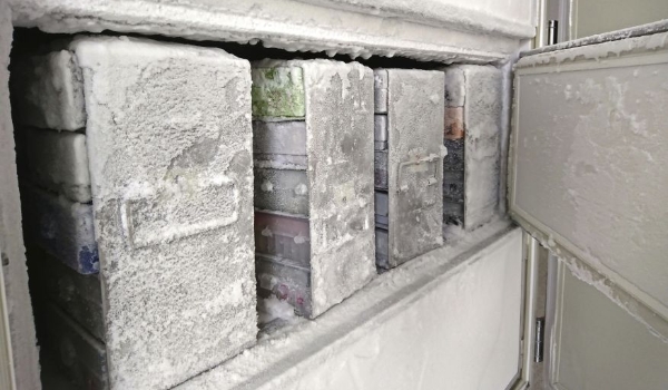 Zelador desliga freezer após ouvir “alarmes irritantes” e universidade dos EUA perde 20 anos de pesquisas