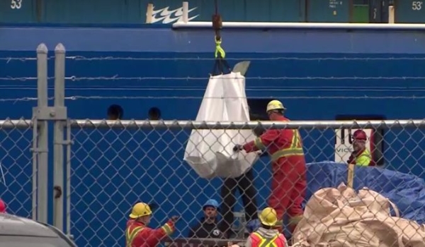 Equipes encontram restos mortais entre os destroços do submersível Titan