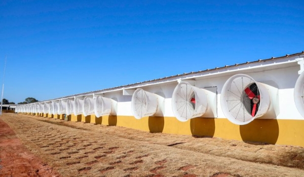 Atraída para MS em evento nacional, granja reforça cadeia produtiva e aposta no sustentável