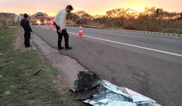 Corpo é encontrado dilacerado às margens da BR-163