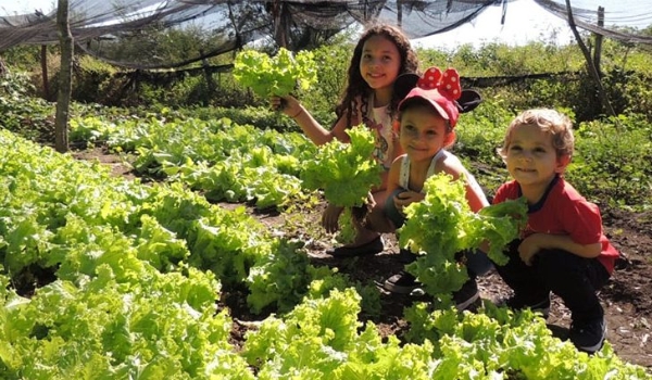 Projeto de produção agroecológica leva agricultores familiares à universidade para plantar ciência