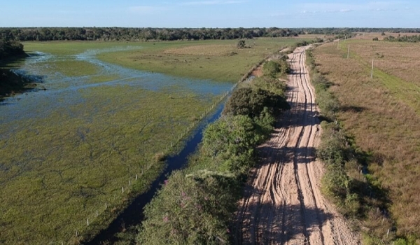Tribunal de Contas de MS vai embargar rodovia para preservação do Pantanal