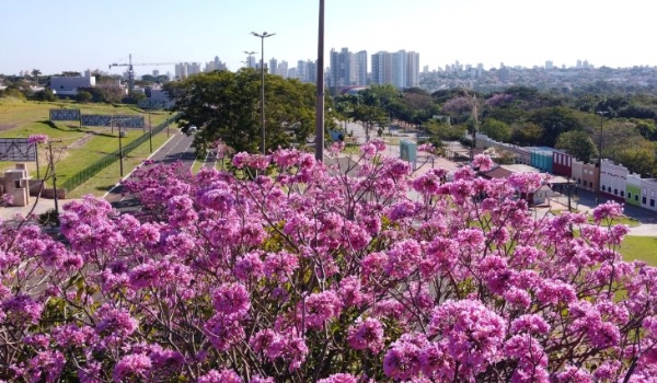 Tempo permanece estável na quinta-feira em Mato Grosso do Sul, prevê Cemtec