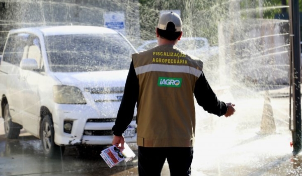 MS vai declarar Estado de Emergência Zoosanitária e intensificar ações de prevenção à influenza aviária