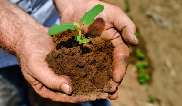 Conselho monetário facilita acesso de agricultor familiar a fundo de reforma agrária