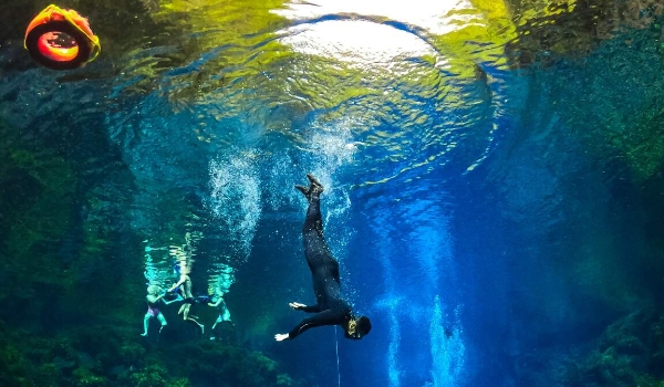 Paraíso subaquático, verdadeiro tesouro natural em Jardim