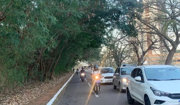 Imagens aéreas confirmam desmatamento que acaba com paisagem na Ricardo Brandão