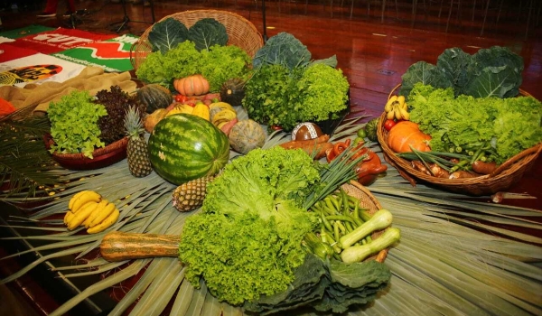 Governo Federal libera R$ 5 milhões para combater fome entre indígenas de MS