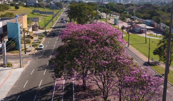 Terça-feira tem previsão de tempo estável e seco em todas regiões do Estado