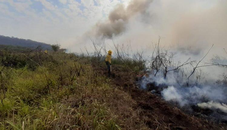 Governo reconhece situação de emergência no Pantanal