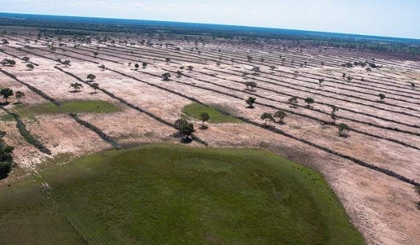 Em defesa do Pantanal, frente parlamentar será lançada nesta quarta