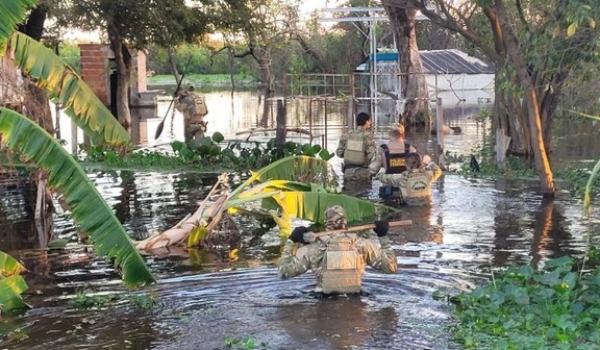 Onça adulta, encontrada sem cabeça, faz PF deflagrar operação no Pantanal