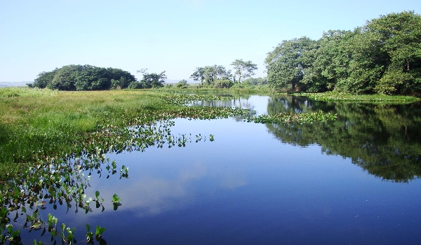 Veja dicas de parques nacionais para você curtir a natureza