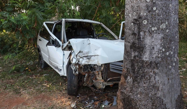 Motorista perde o controle do carro e bate em árvore às margens do córrego